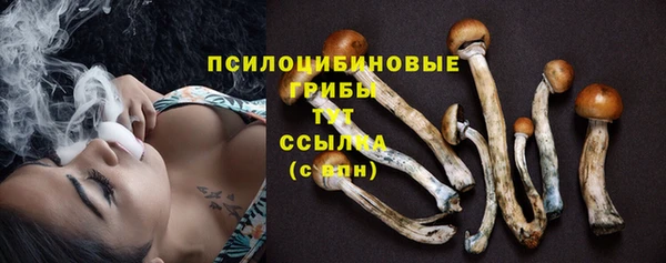 ECSTASY Верхний Тагил