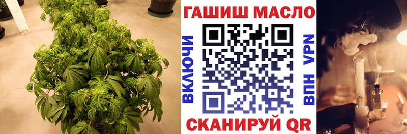 купить Кингисепп кракен ТОР Дистиллят ТГК вейп